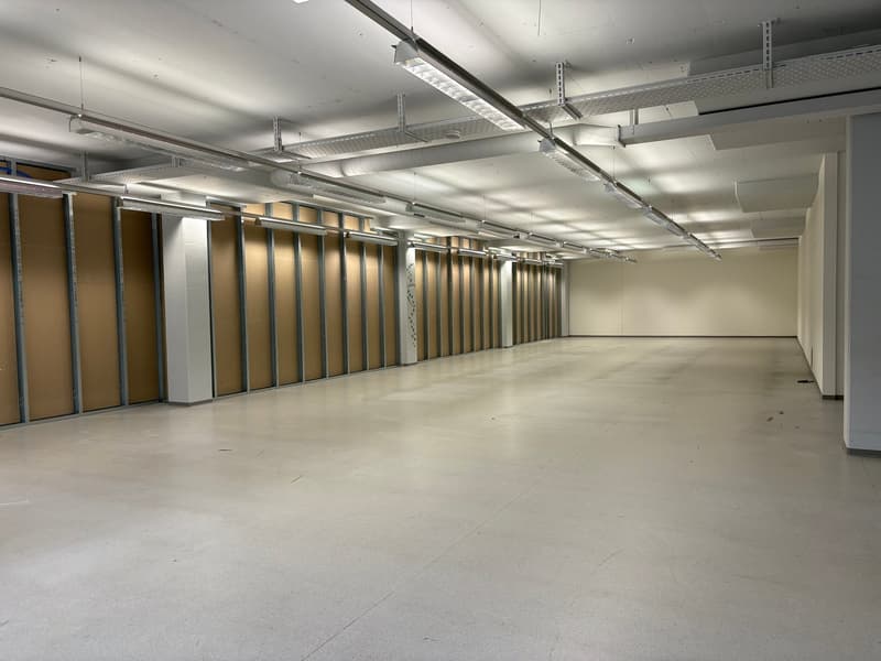 Large open space with concrete floor, metal framing, and overhead lighting. The room appears to be a warehouse or storage facility, with no visible furniture or other features.
