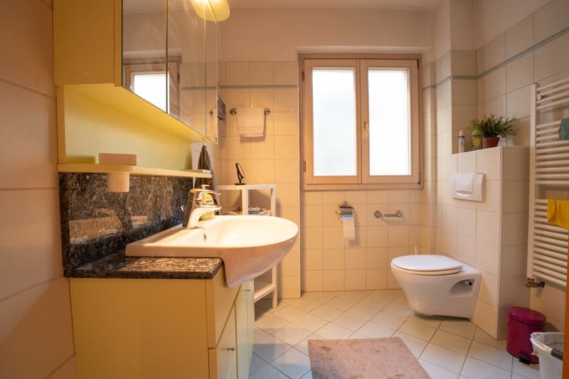 2.5-Zimmerwohnung - lichtdurchflutet - nahe Zentrum - 2 Parkplätze (14)