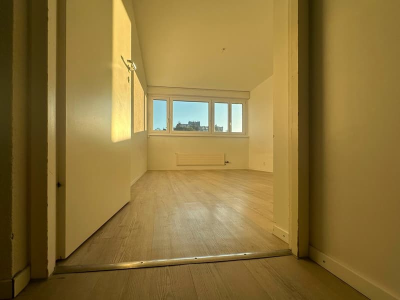 Geräumige 5.5-Zimmer-Wohnung - renoviert (12)