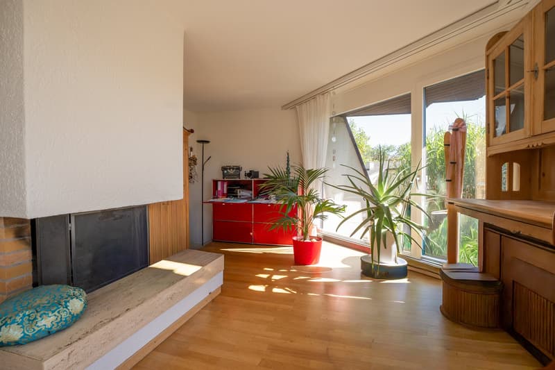 5.5-Zimmer-Wohnung - Eigentumsstandard - mit grossem Garten (2)