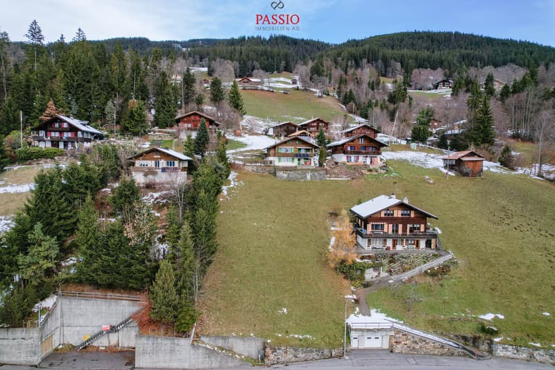 Bauland von 849m² mit Seesicht und Alpenpanorama (3)
