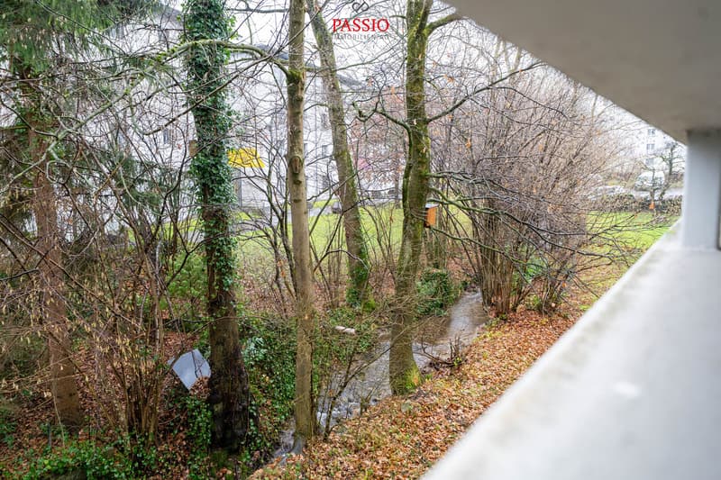 Investissement de capital passionnant : Appartement 3,5 pièces central dans un emplacement idéal (4)