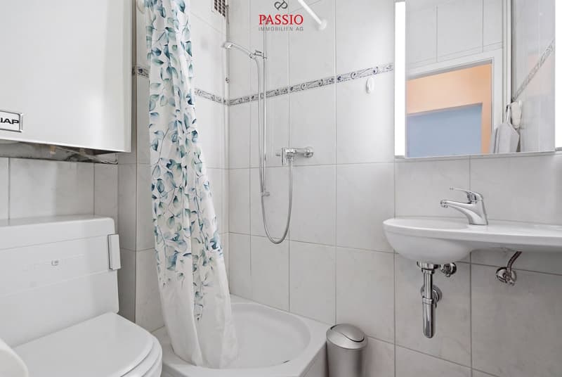 Top maintained 4.5-room apartment in the city center (13)
