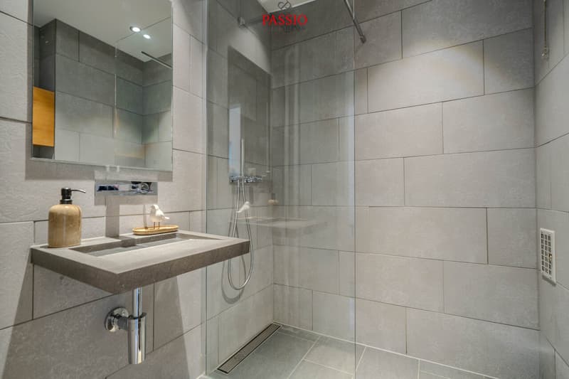 Top maintained 4.5-room apartment in the city center (11)