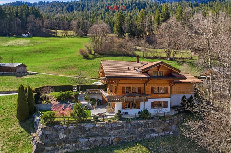Chalet esclusivo di 8,5 locali con potenziale di dependance e giardino da sogno (3)