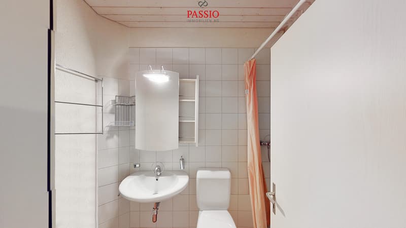 Grosszügige 4,5-Zimmer Wohnung mit Cheminée an ruhiger Lage (12)