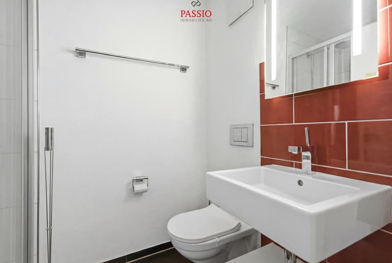 Exklusive 4.5-Zimmer-Attikawohnung mit Lift, Sauna und Whirlpool (13)