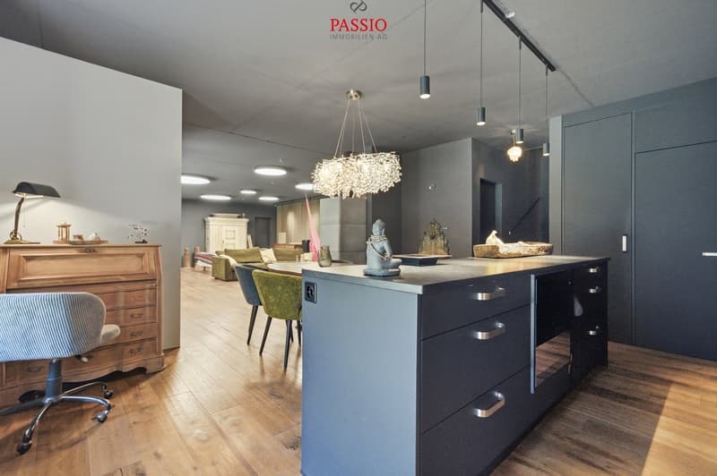 Neuwertige 3.5-Zimmer-Loftwohnung mit 74 m² Terrasse am Aare-Ufer (12)