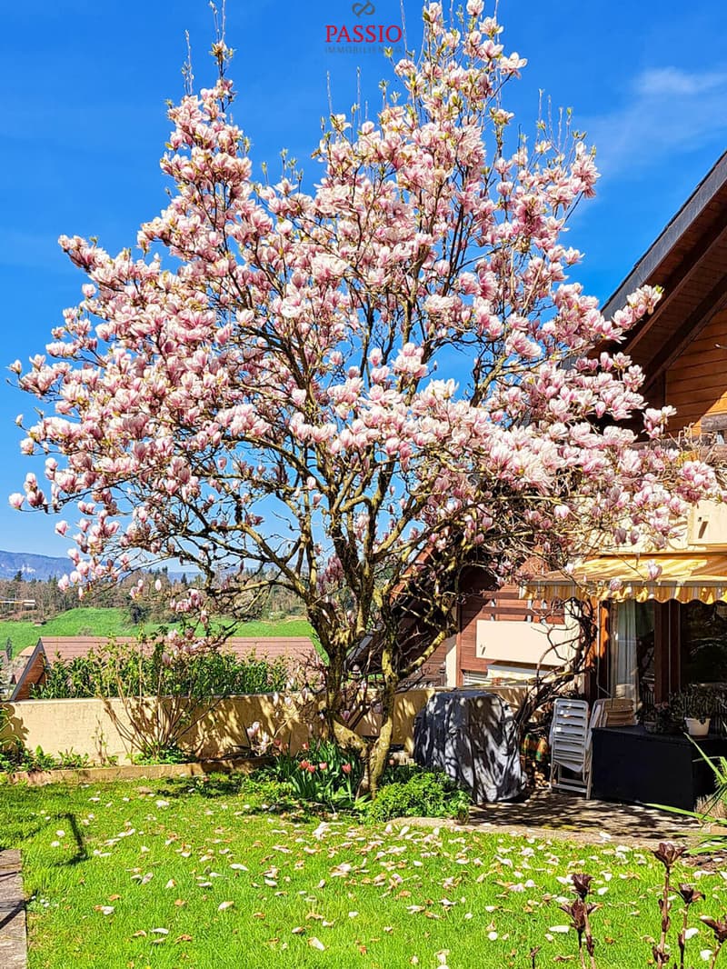Grosses 10-Zimmer Reiheneckhaus mit Gartenparadies an Top Lage (4)