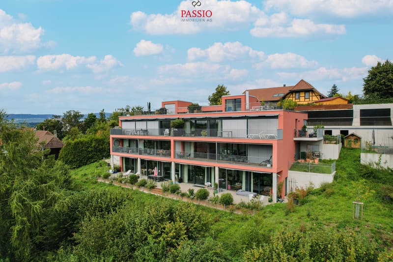 Exklusive Loft-Wohnung mit grosser Terrasse und Weitblick (3)