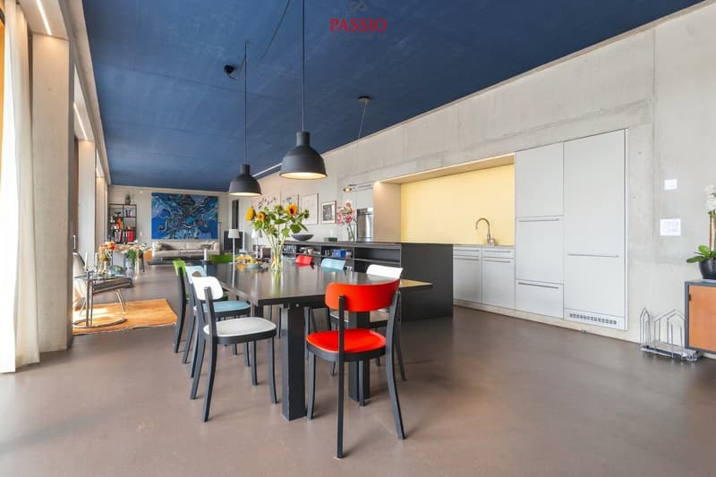 Exklusive Loft-Wohnung mit grosser Terrasse und Weitblick (1)