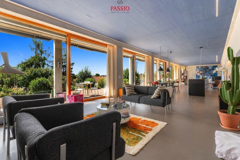 Exklusive Loft-Wohnung mit grosser Terrasse und Weitblick (4)