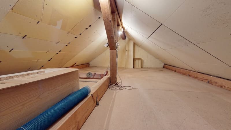 Vue sur le Jura - Villa familiale sur 1'000 m² à Seigneux! (12)
