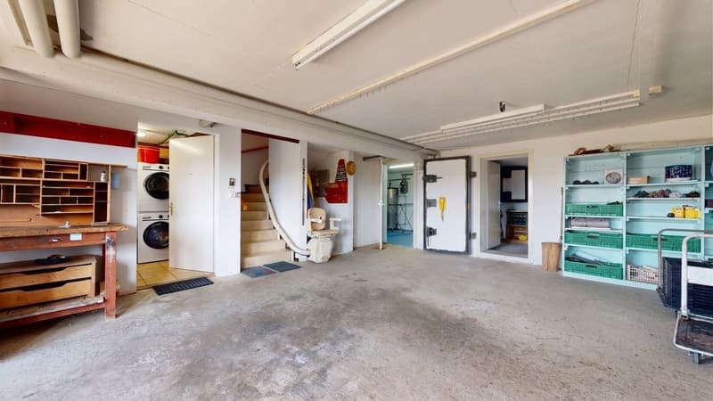 Vue sur le Jura - Villa familiale sur 1'000 m² à Seigneux! (11)
