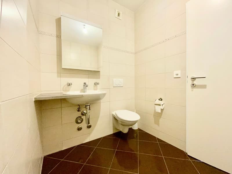 Lumineux 4 ½ de 110m2 avec place de parc! (7)