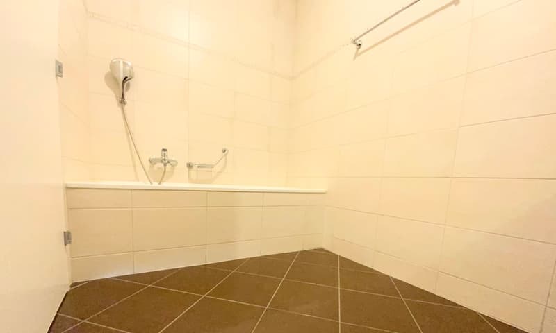 Lumineux 4 ½ de 110m2 avec place de parc! (6)