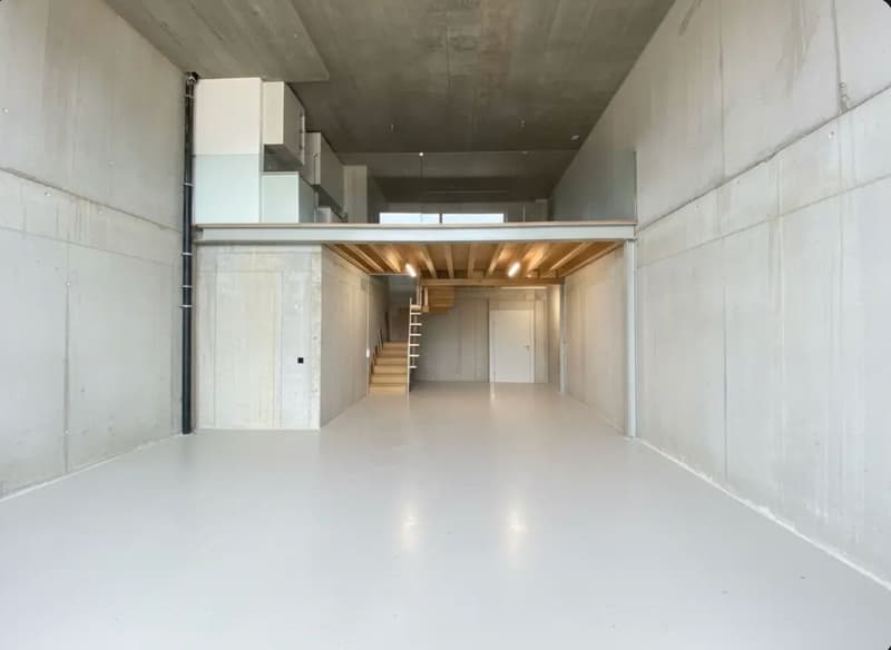 À louer - Halle artisanale / Atelier / Dépôt chauffé de 115 m² avec mezzanine (1)