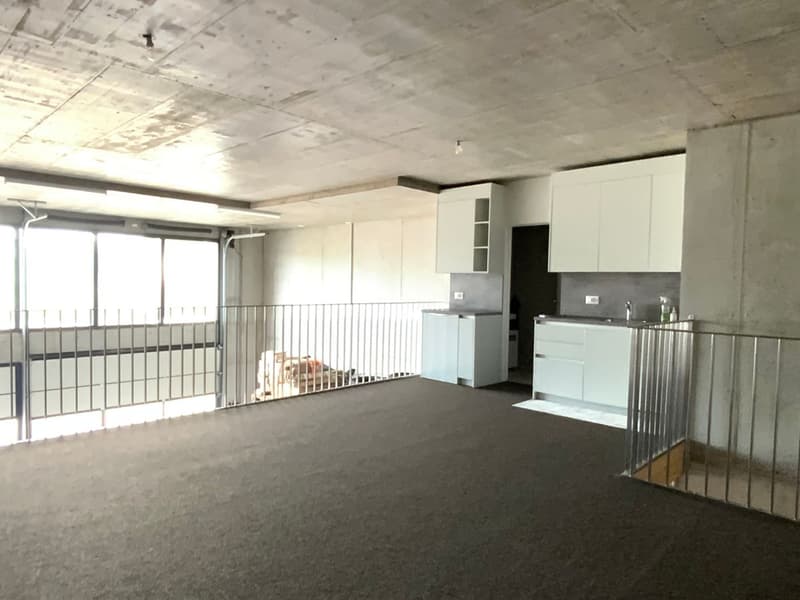 À louer - Halle artisanale / Atelier / Dépôt chauffé de 115 m² avec mezzanine (4)
