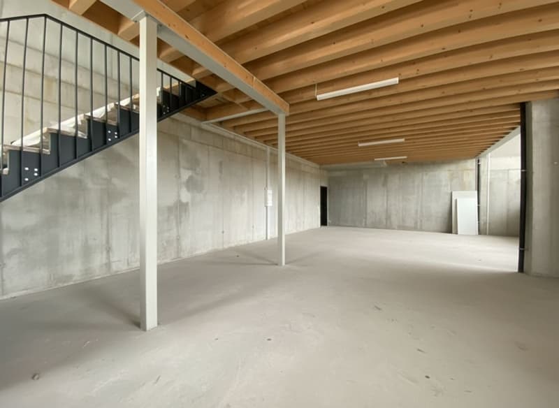 À louer - Halle artisanale modulable de 245 m² Saint-Aubin (FR) (3)