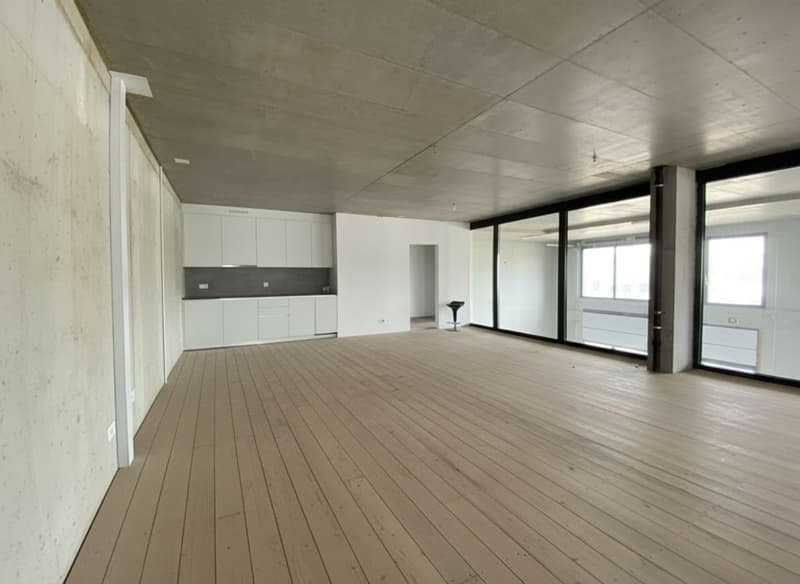 À louer - Halle artisanale modulable de 245 m² Saint-Aubin (FR) (4)