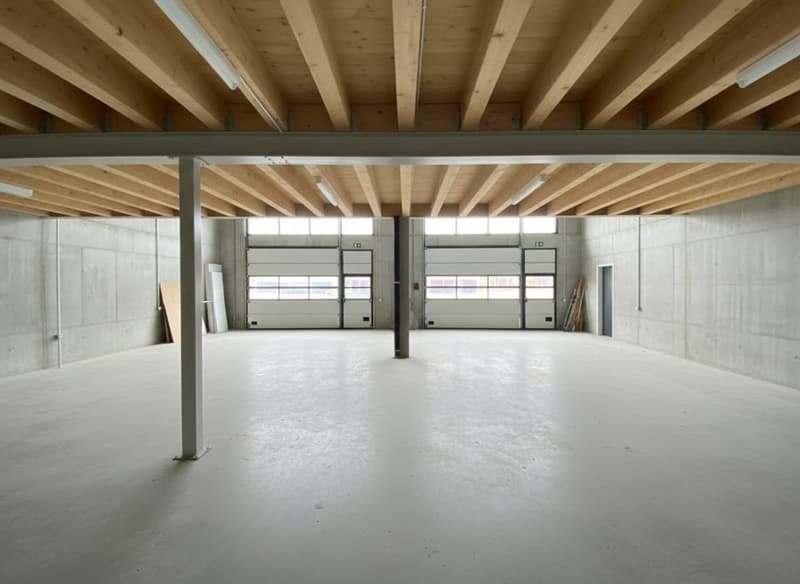 À louer - Halle artisanale modulable de 245 m² Saint-Aubin (FR) (2)