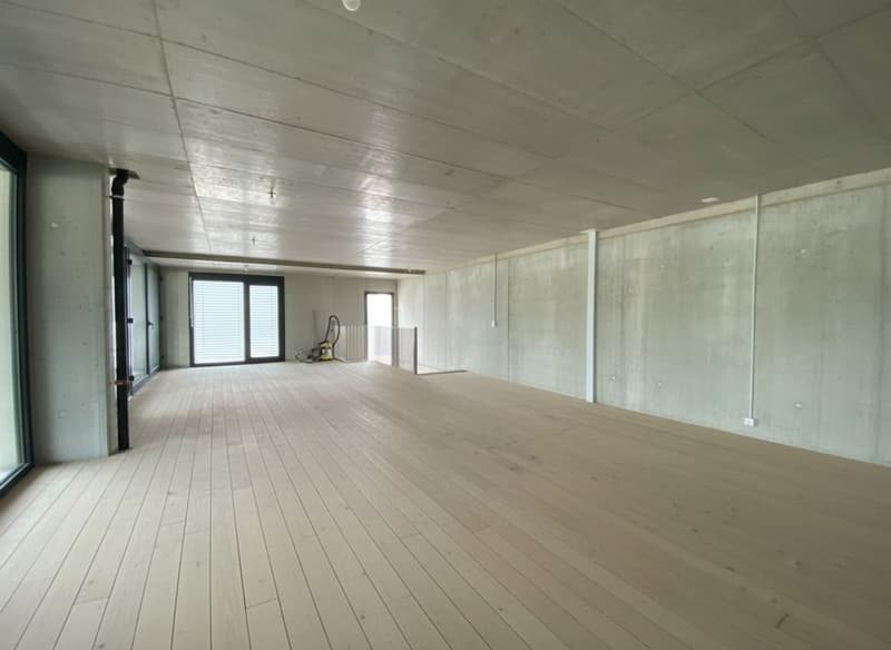 À louer - Halle artisanale modulable de 245 m² Saint-Aubin (FR) (5)