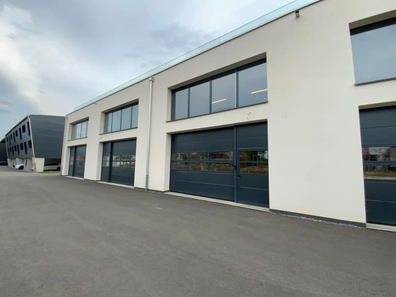 À louer - Halle artisanale modulable de 245 m² Saint-Aubin (FR) (7)