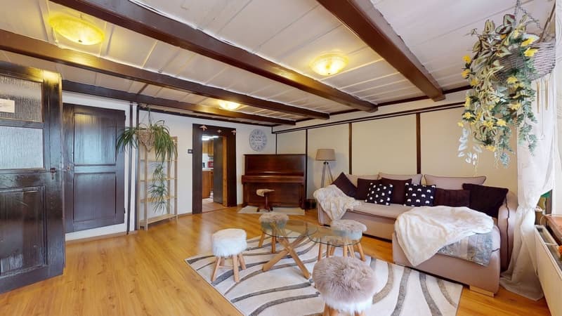 Maison villageoise avec rural ! (4)