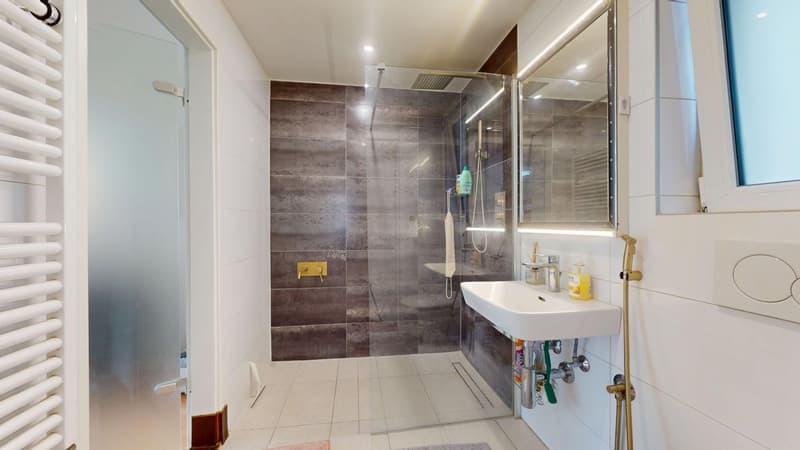 Maison individuelle avec deux appartements et espaces extérieurs ! (11)