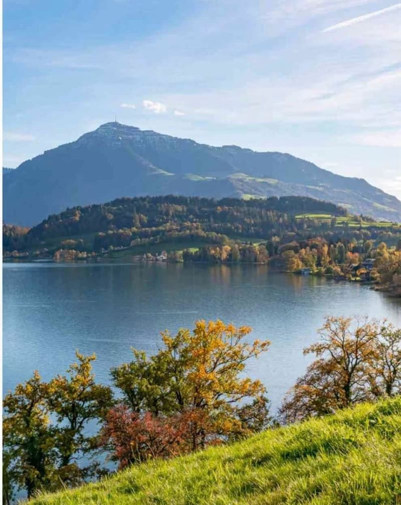 Mittelhaus im steuergünstigen Kanton Zug (13)