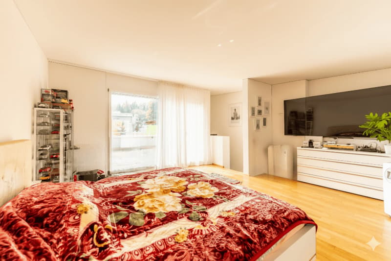 Mittelhaus im steuergünstigen Kanton Zug (7)