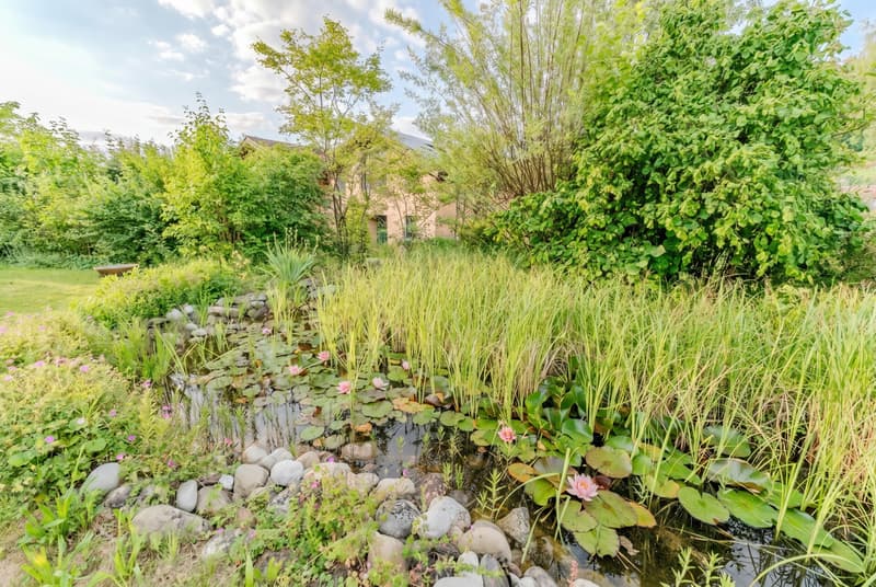Freistehendes Einfamilienhaus mit grossem Garten an ruhiger Wohnlage (9)