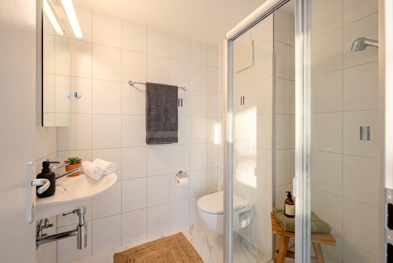Grosszügige Erdgeschosswohnung - frisch renoviert (11)