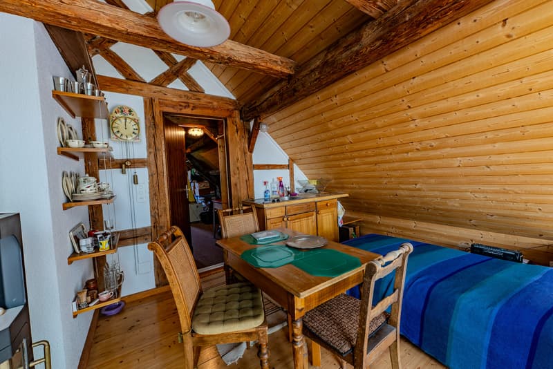 Einzigartiges Haus mit viel Um- und Ausbaupotenzial (13)