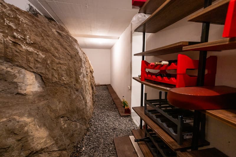 Exklusives Wohnen mit unverbaubarer Berg- und Seesicht (12)
