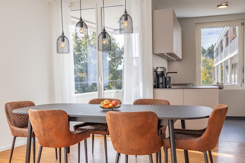 Moderne 4.5-Zimmer-Wohnung mit grosser Dachterrasse und Loggia an zent (6)