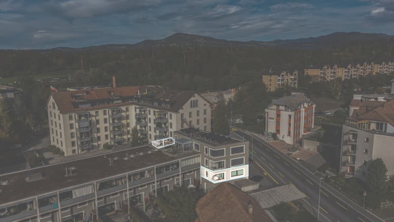 Moderne 4.5-Zimmer-Wohnung mit grosser Dachterrasse und Loggia an zent (13)
