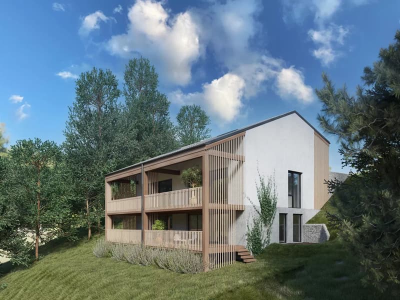 Lumineux et confortable appartement contemporain
