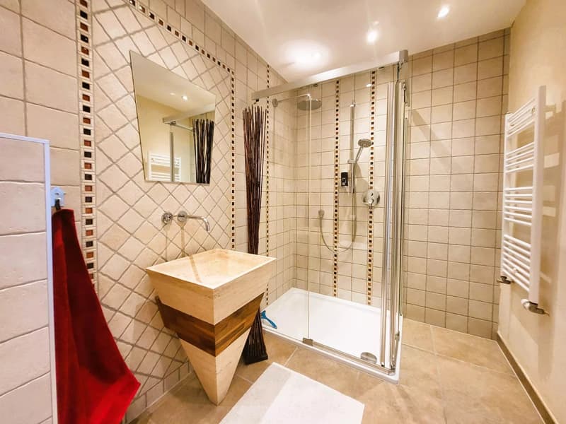 Splendide appartement 6,5 pièces au bord de la Vièze avec studio en copropriété (9)