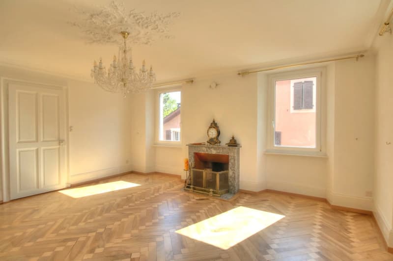 Splendide appartement 6,5 pièces au bord de la Vièze avec studio en copropriété (3)