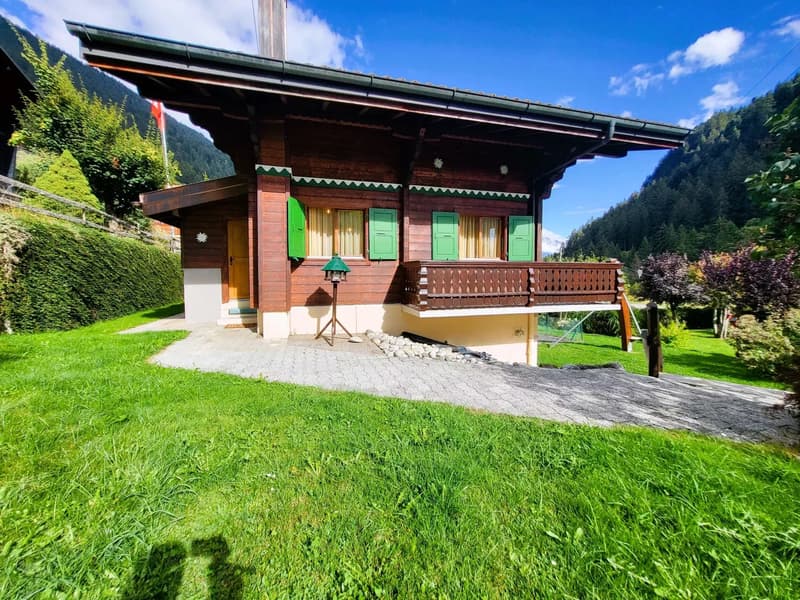 Magnifique Chalet à Morgins (3)