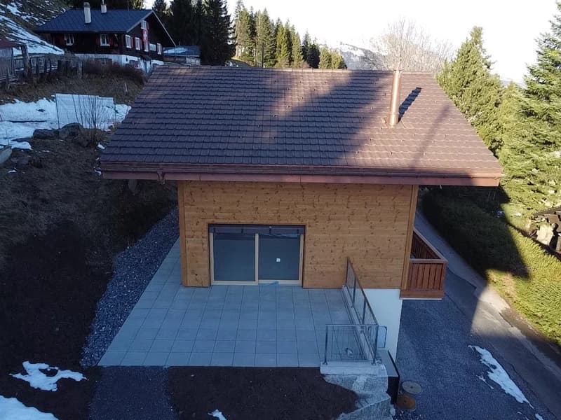 Splendide chalet individuel aux Giettes (6)