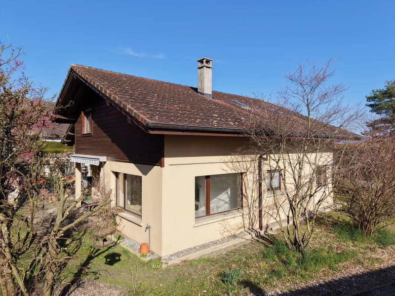 Maison de 5.5 pièces au Bouveret (3)