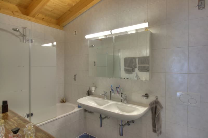 Magnifique attique 4.5 pièces avec vue imprenable (11)