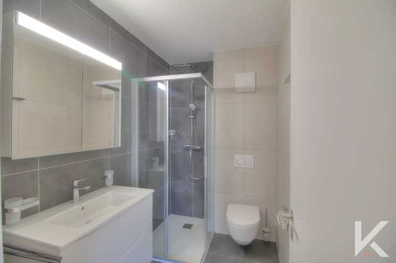 Appartement de 4.5 pièces (10)