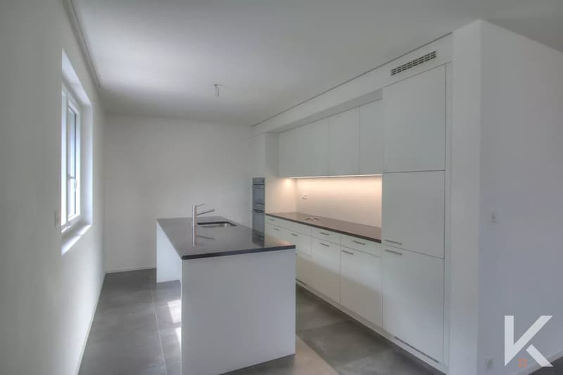 Appartement de 4.5 pièces (4)