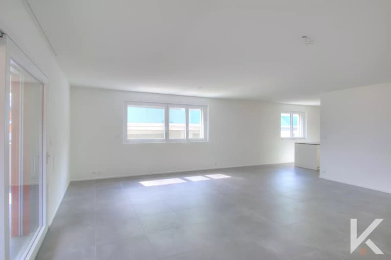 Appartement de 4.5 pièces (3)