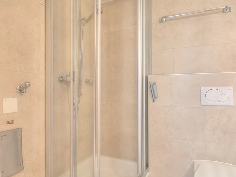 Appartement 4.5 pièces aux Marécottes (6)
