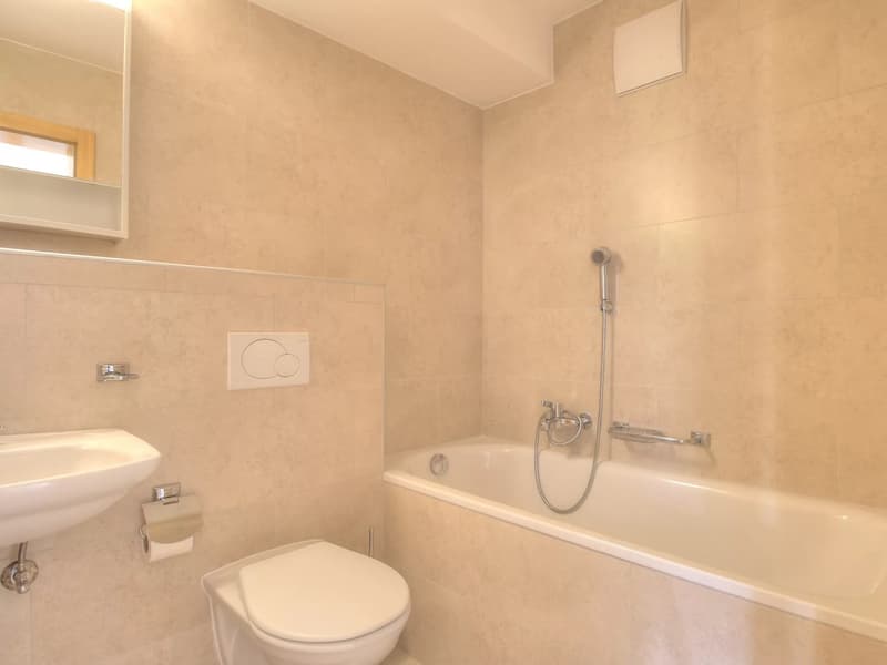 Appartement 4.5 pièces aux Marécottes (8)