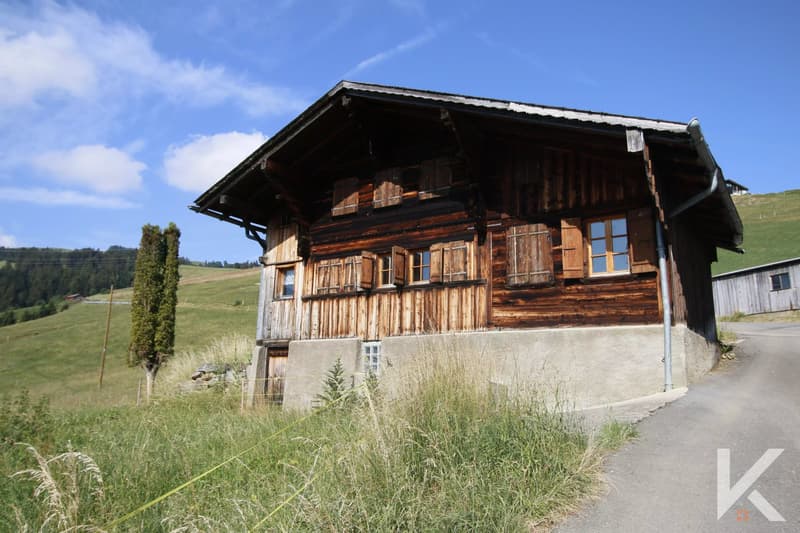 Chalet au coeur des montagnes (1)